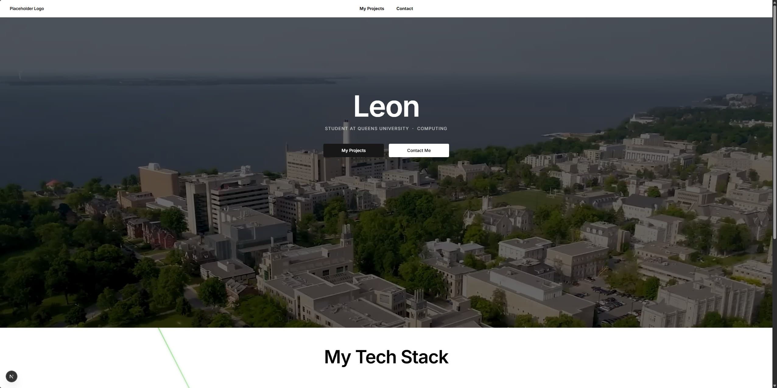 This Website